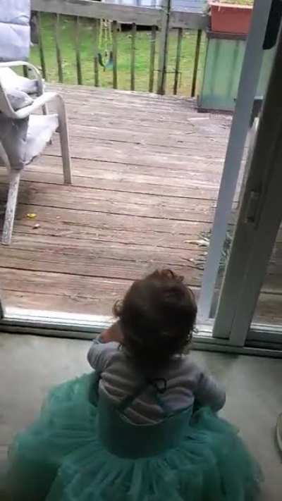 When you give a squirrel a nut...