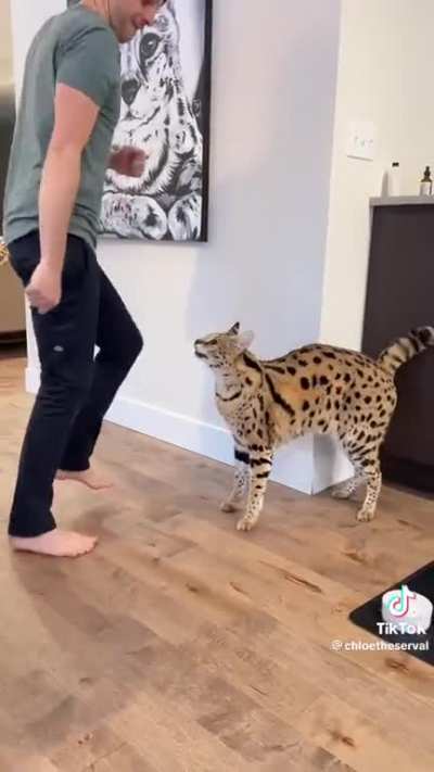 If you have to declaw an animal because you’re afraid it might murder you, don’t bring it in to your house as a pet 🤦🏾
