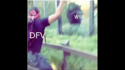 When DFV posts literally anything