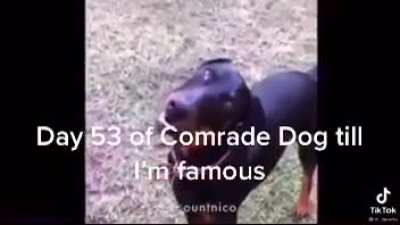For the motherland!