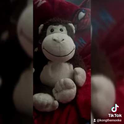 [OC] Chicken rejects monkey's advances