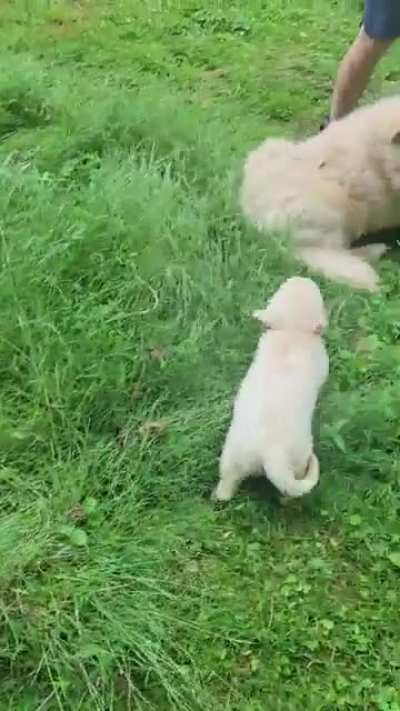 Get a room!