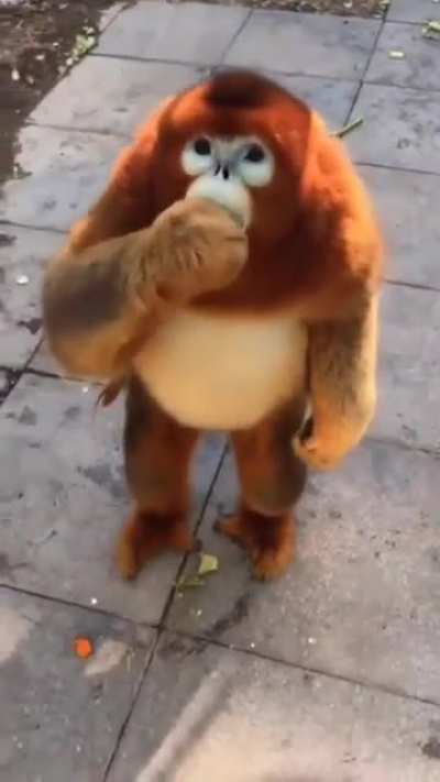 Bu gerçekse Hulk bile gerçek olabilir amk