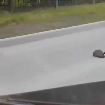 Drone in Rescuing mode