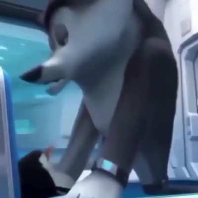 gdjiskwjjejjdndasds