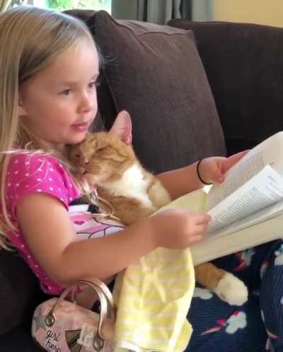 Bedtime story
