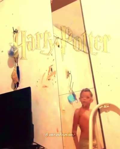 Harry Potter and the secrets of the mirror