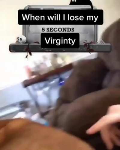 Idk who died more, the man or the dog
