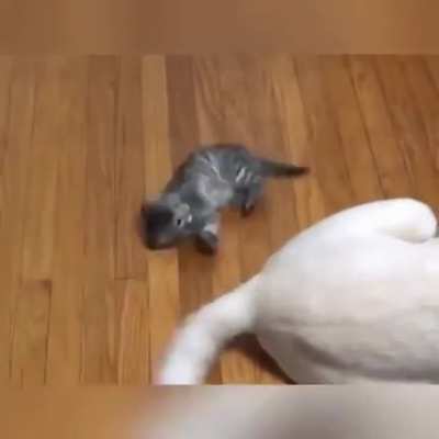 “Weeeeeee”