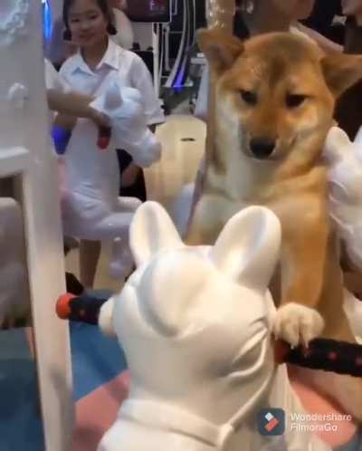 Chilling on the carousel