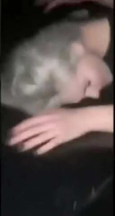 Help me find the source