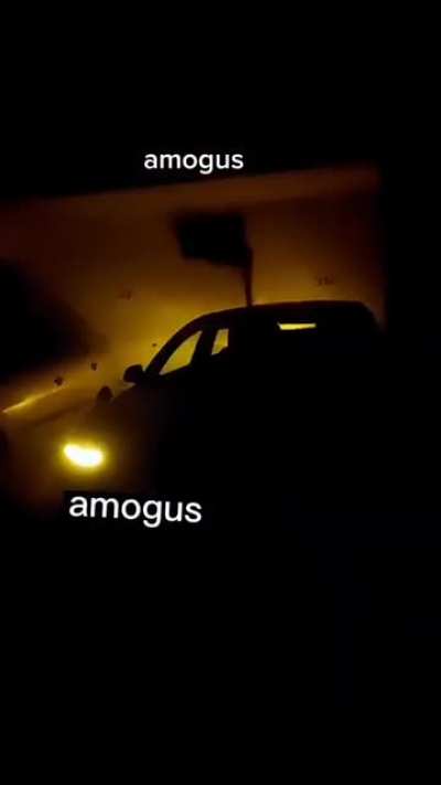 amogus 0_0