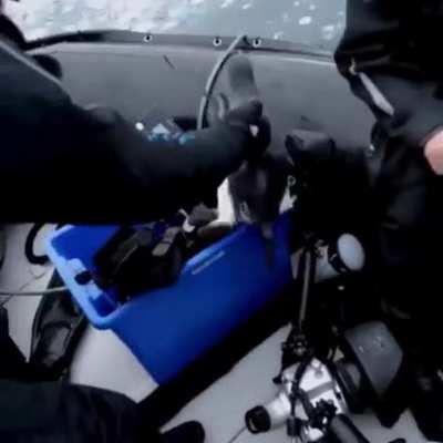 surprise on ice