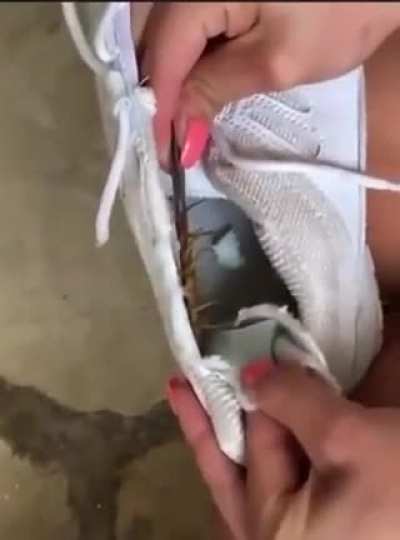 Not sure if this has been posted here