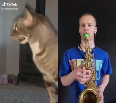 Bless you