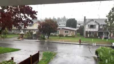 Major Pacific front in BC, Canada. So peaceful.