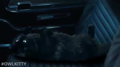 John wick makes pspsps while killing his enemies, can you imagine?