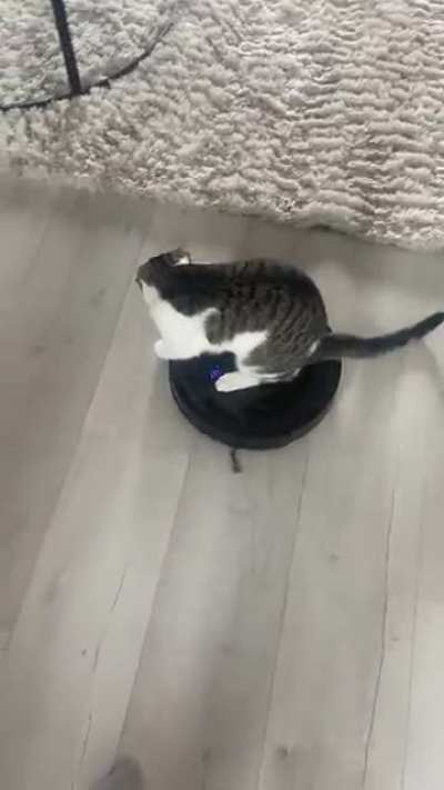 His way of helping around the house..