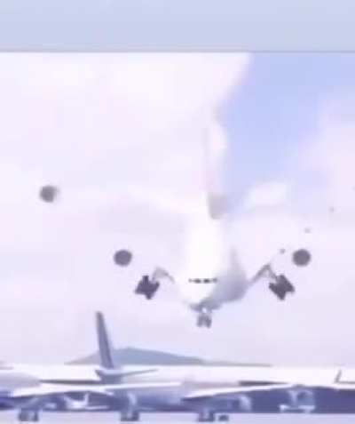 An airplane hitting a bird