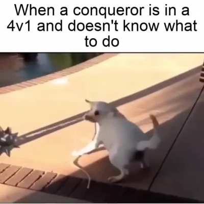 Nothing personal to Conq mains!