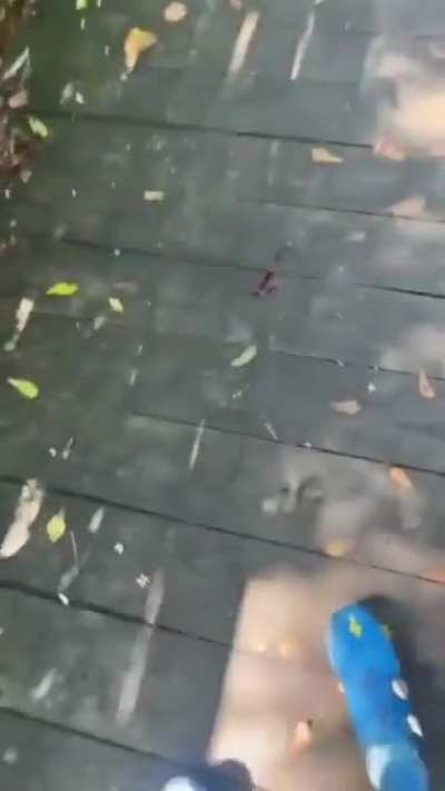 Watch out, it's slippery