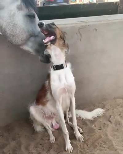Oh yeah, that's the spot