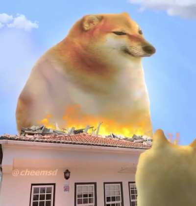 Attack On Cheems