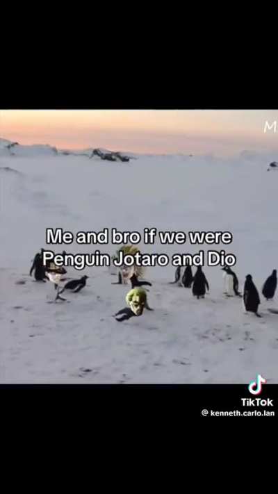 Stardust penguins