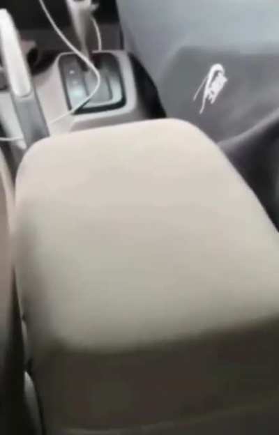 Man falsely claims his family was threatened with a gun and gets shouted at by the police