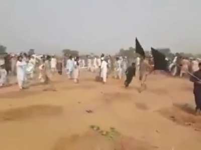 Locals destroy plants planted under the Billion Tree tsunami campaign in Pakistan