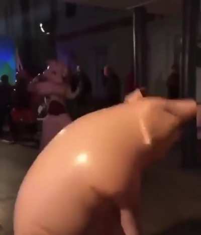 Cursed_pig
