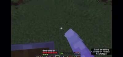 Girl freaks out over a creeper, found on her YT AnnIsNotDumb