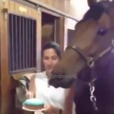 Kkk meu aniversário