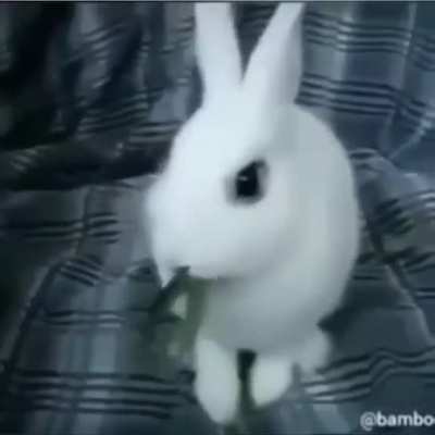 shitposting - Video #4657