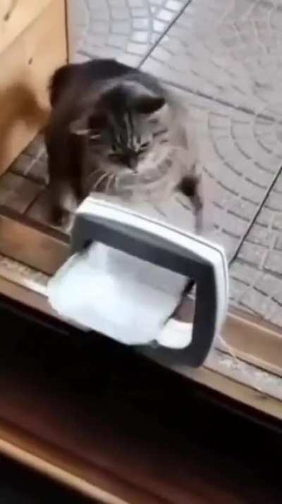 Why so much shaking?