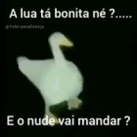 E ai como vai ser?