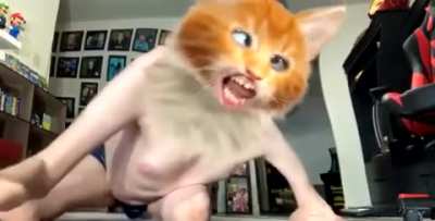 cursed_CatHuman