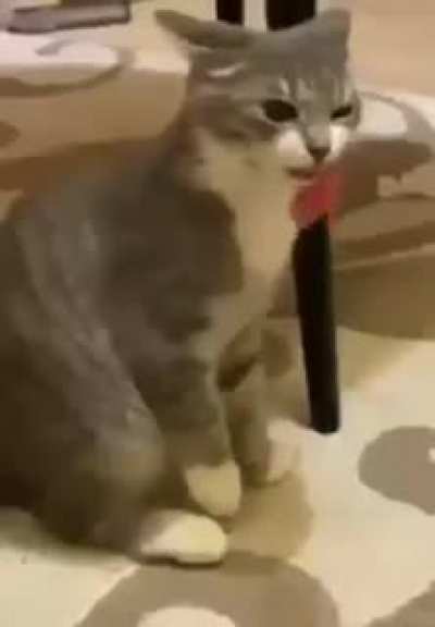 Nom nom nom