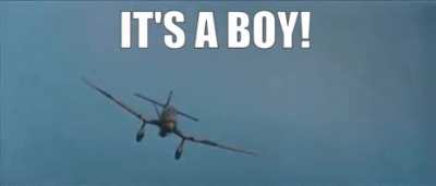 Pink's gender reveal be like: