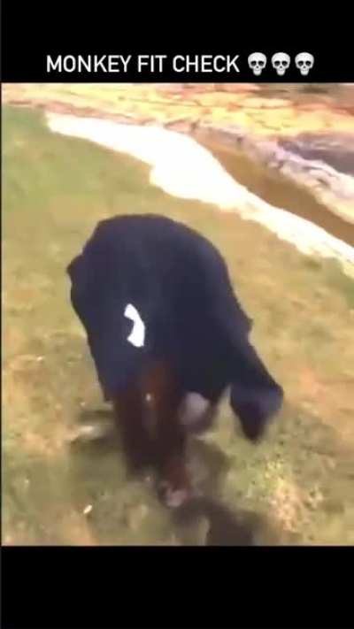 *Ape fit check