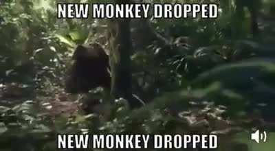 Monke drop