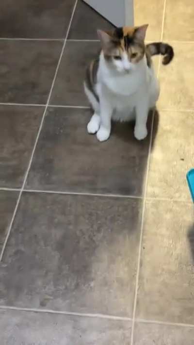 Missing Leg