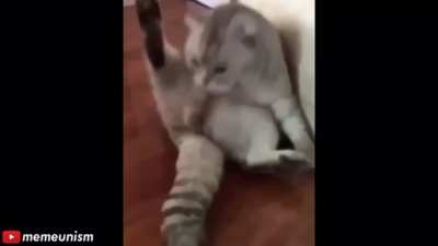 His balls