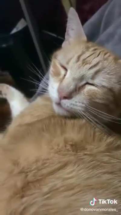 Lo mejor del dia 😼👍
