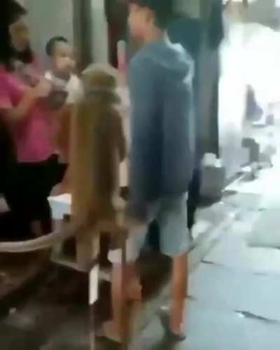 Monkey see monkey do