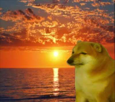 *wakes up*