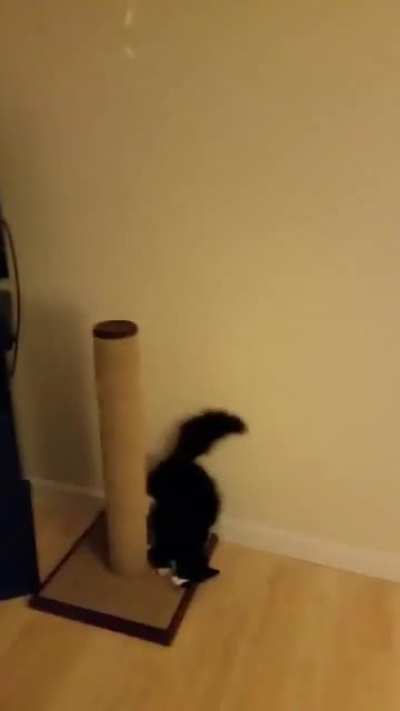Maybe maybe maybe