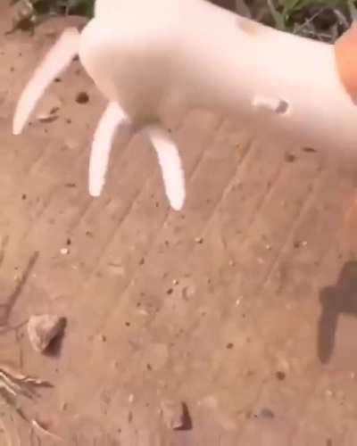 The camera can't catch up