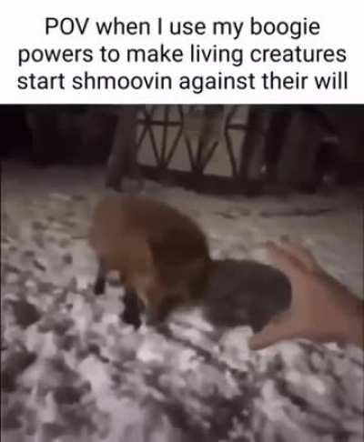 I have learned a new hex to cast on my enemies. (Or people who annoy me)