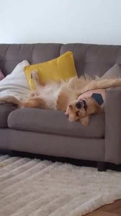 The sleeping beauty.